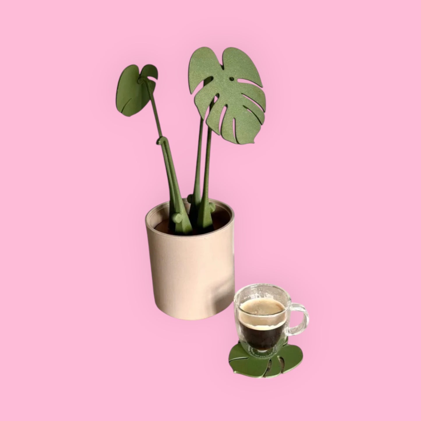 Houseplant Coasters