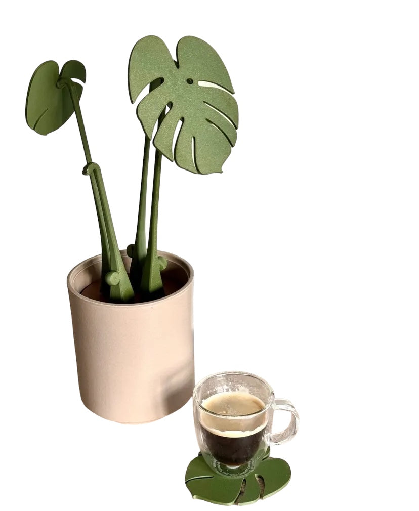 Houseplant Coasters