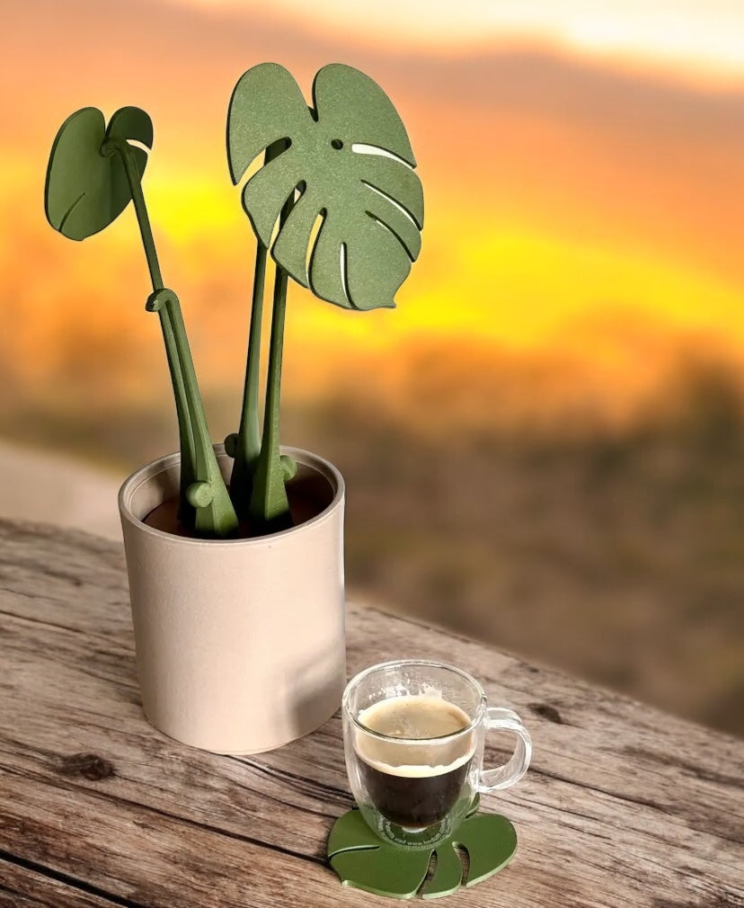 Houseplant Coasters