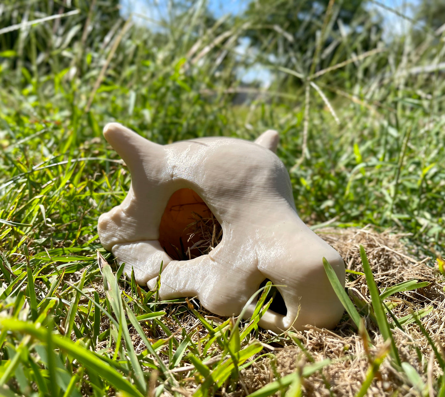 Cubone Skull