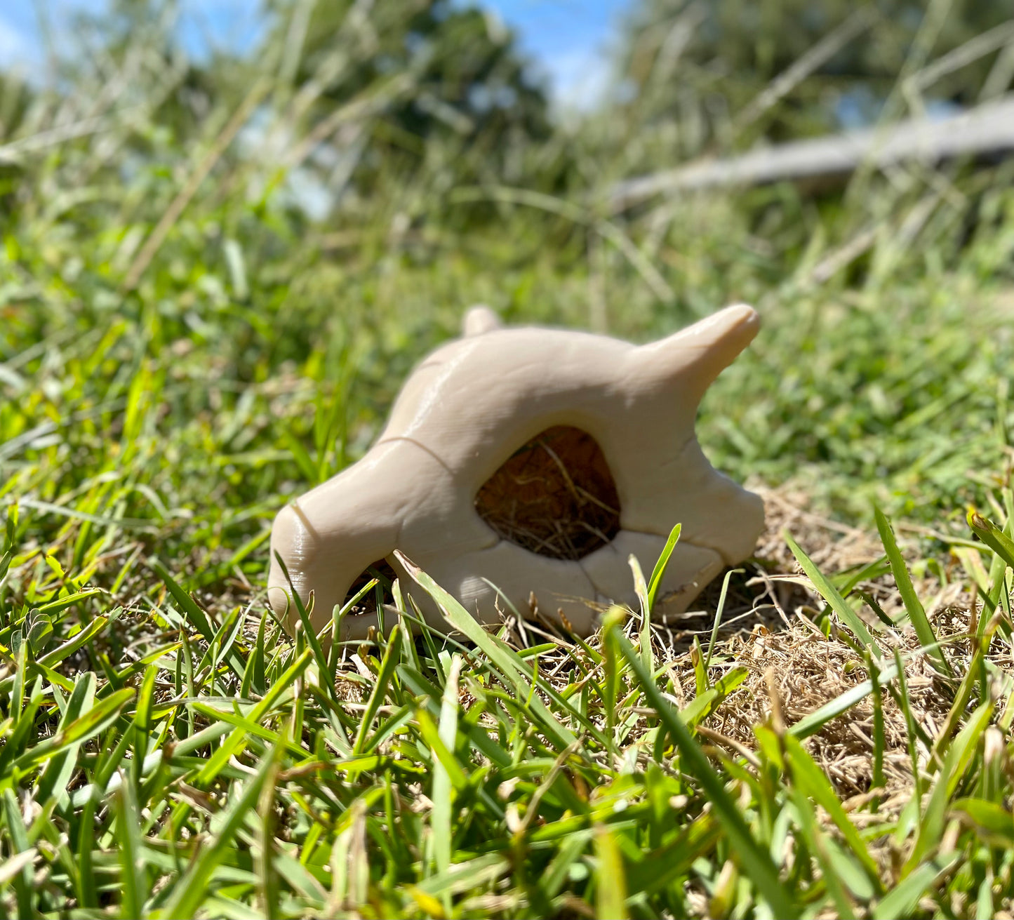 Cubone Skull